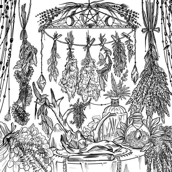 Green Witch's Coloring Book by Arin Murphy-Hiscock: Paperback; 80 pages / English