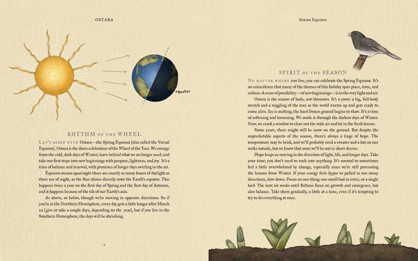 Wheel of the Year by Fiona  Cook: Hardcover; 256 pages / English