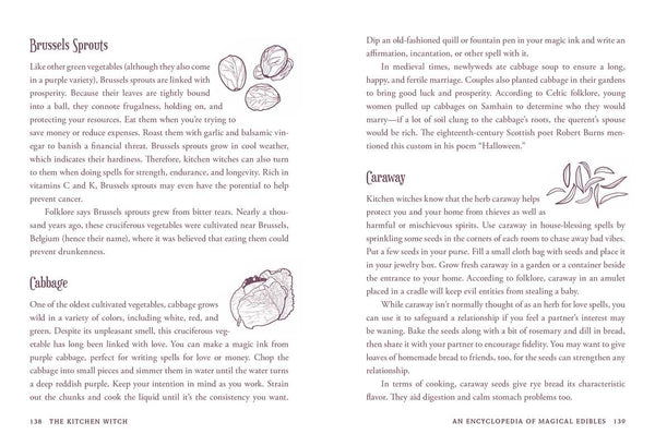 Kitchen Witch by Skye Alexander: Hardcover; 288 pages / English