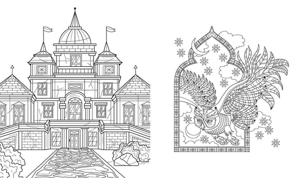 Dark Academia Coloring Book by Rockpool Publishing: Paperback; 72 pages / English