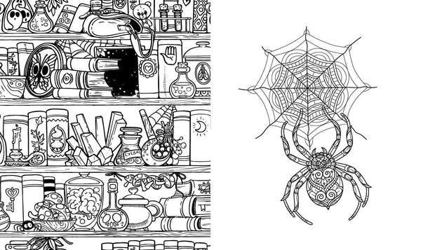Dark Academia Coloring Book by Rockpool Publishing: Paperback; 72 pages / English