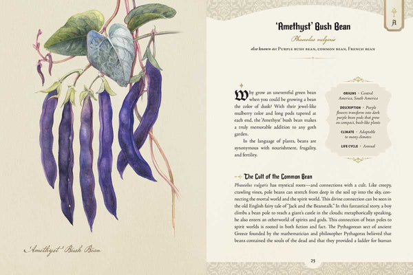 Goth Garden by Felicia Feaster: Hardcover; 192 pages / English