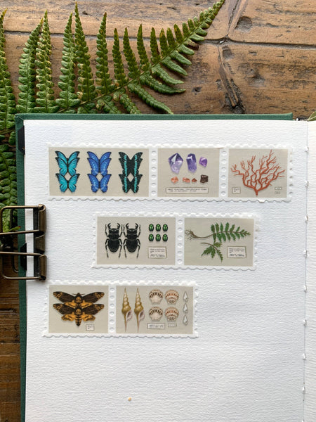 Specimen drawer stamp washi tape