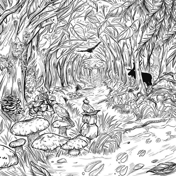 Green Witch's Coloring Book by Arin Murphy-Hiscock: Paperback; 80 pages / English