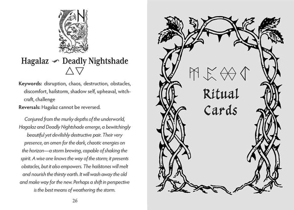 Runes and Roots Oracle by Nicolette Miele: Flashcards; 144 pages / English