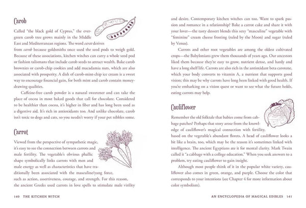 Kitchen Witch by Skye Alexander: Hardcover; 288 pages / English