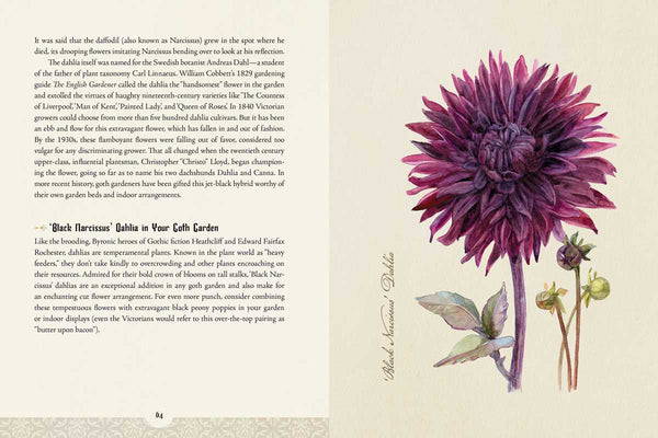 Goth Garden by Felicia Feaster: Hardcover; 192 pages / English