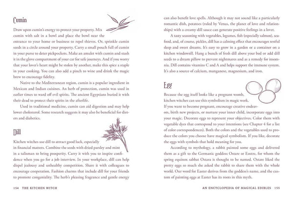 Kitchen Witch by Skye Alexander: Hardcover; 288 pages / English