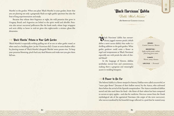 Goth Garden by Felicia Feaster: Hardcover; 192 pages / English