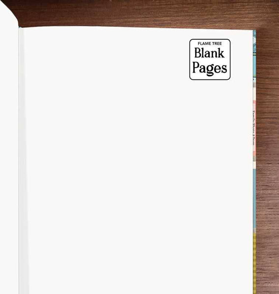 Georgia Breeze: Bookshelves (Foiled Blank Journal) by: Notebook / blank book; 176 pages / English