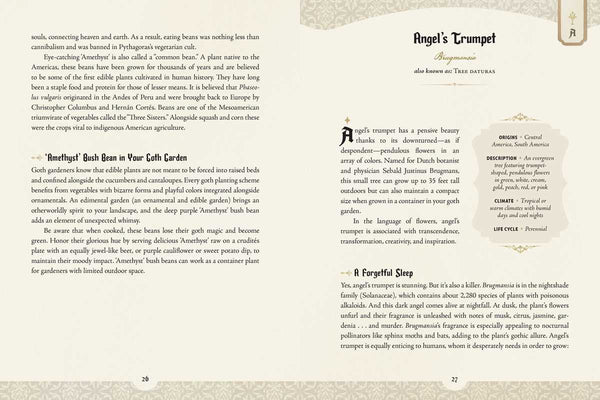 Goth Garden by Felicia Feaster: Hardcover; 192 pages / English