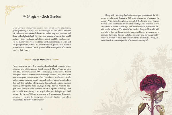 Goth Garden by Felicia Feaster: Hardcover; 192 pages / English