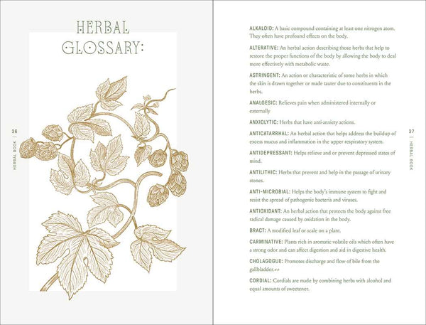 Complete Folk Herbal by Rebecca Beyer: Hardcover; 384 pages / English